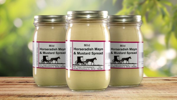 Horseradish Mayo Mustard Spread
